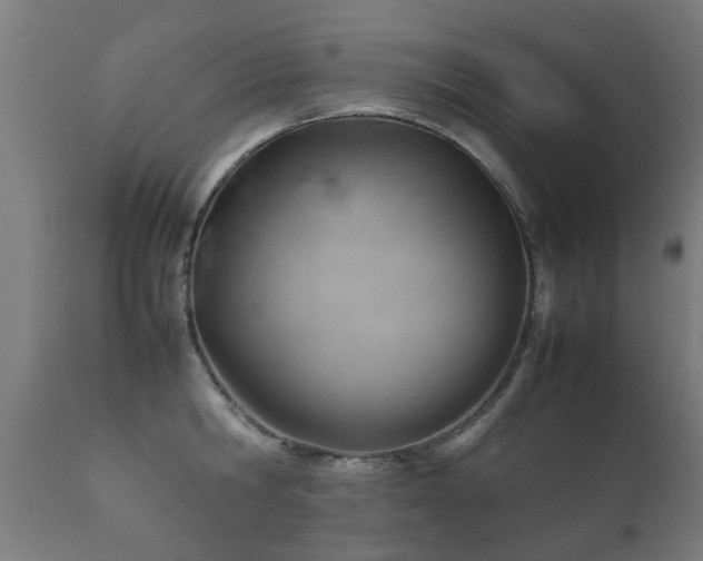 X0000112090806200908111351