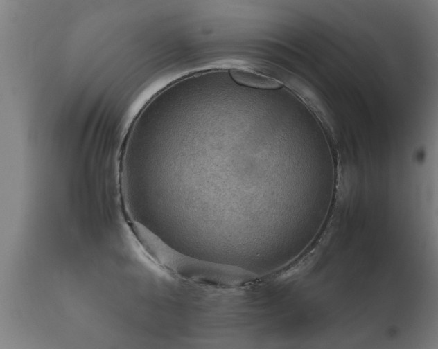 X0000112090808200908111351