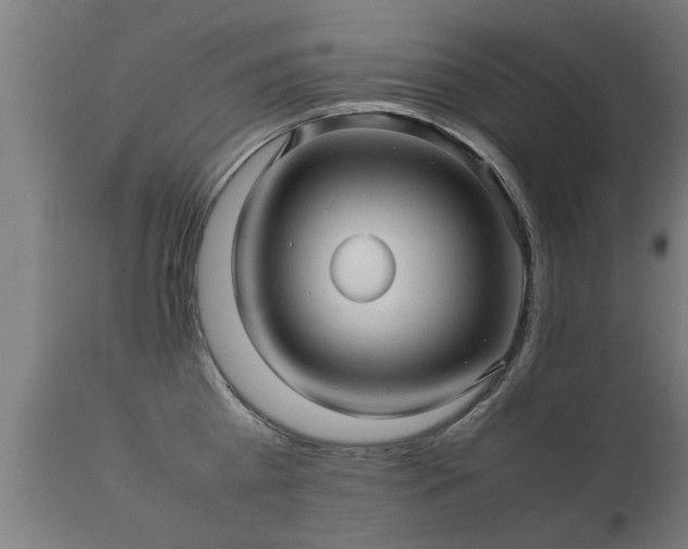 X0000112090809200908111351