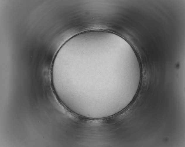 X0000112090810200908111351