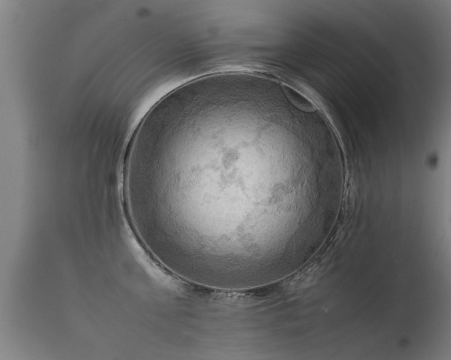 X0000112090811200908111351