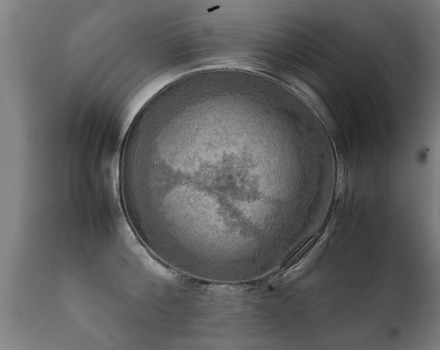 X0000112090812200908111351