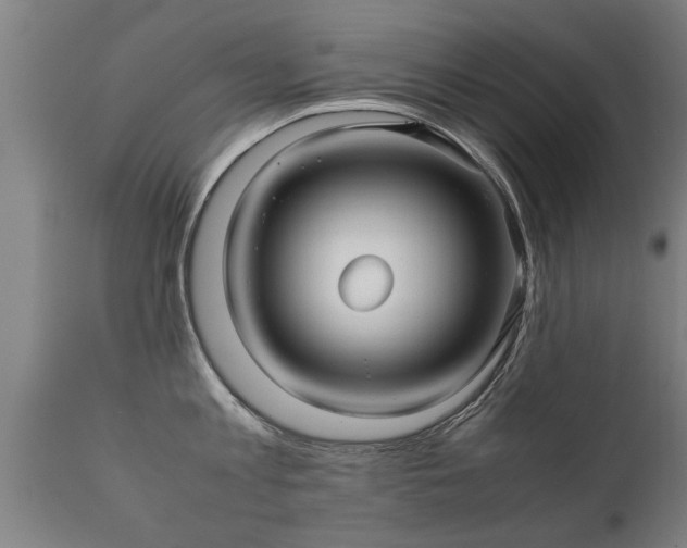 X0000112090813200908111351