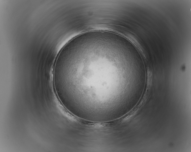 X0000112090814200908111351