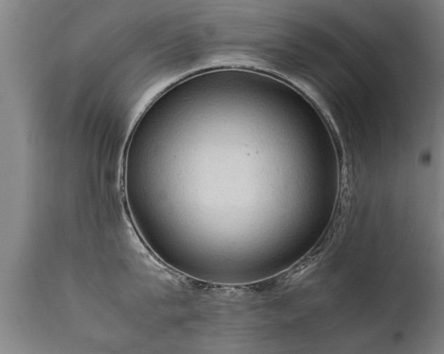 X0000112090815200908111351