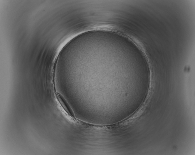 X0000112090816200908111351