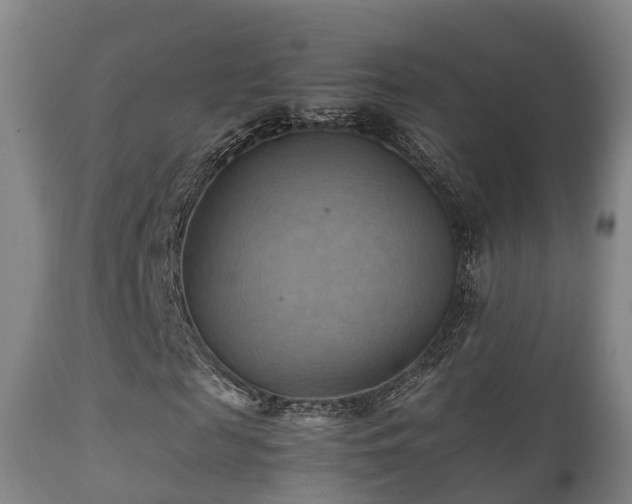 X0000112090817200908111350