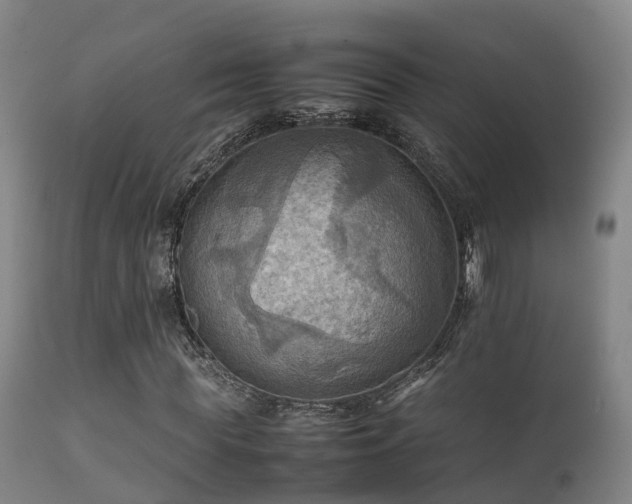 X0000112090819200908111350