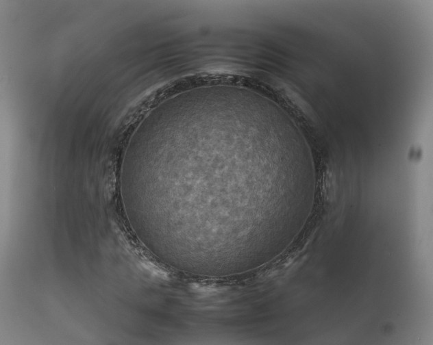 X0000112090821200908111350