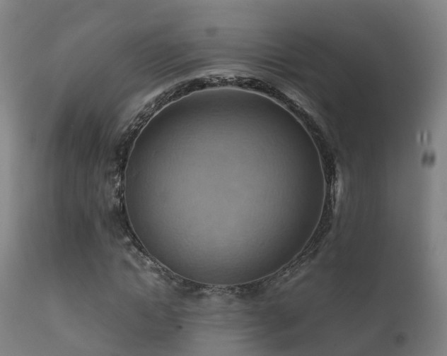 X0000112090822200908111351