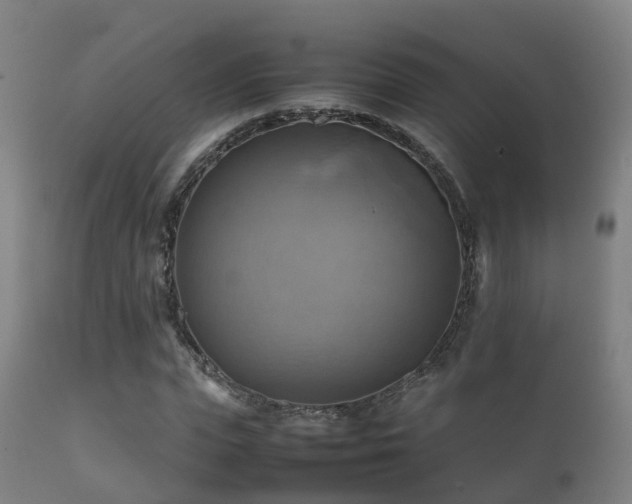 X0000112090823200908111351