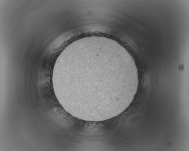 X0000112090824200908111351