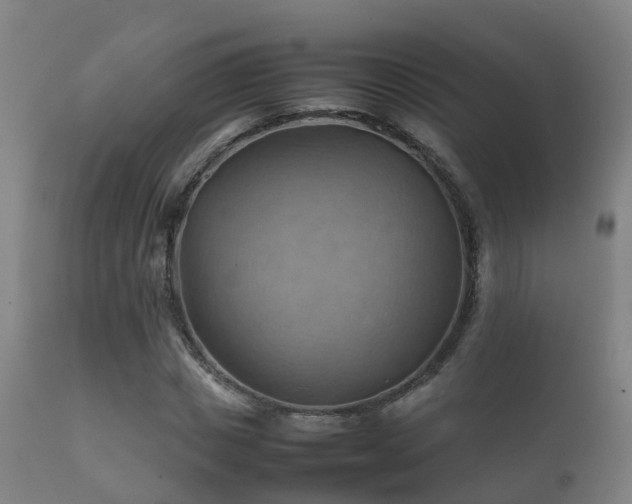 X0000112090825200908111351