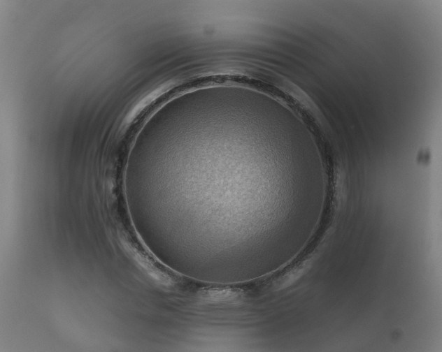 X0000112090826200908111351