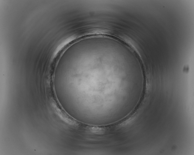 X0000112090827200908111351