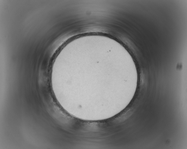 X0000112090828200908111351