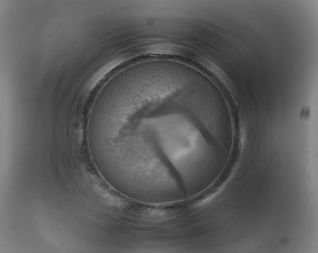 X0000112090829200908111351