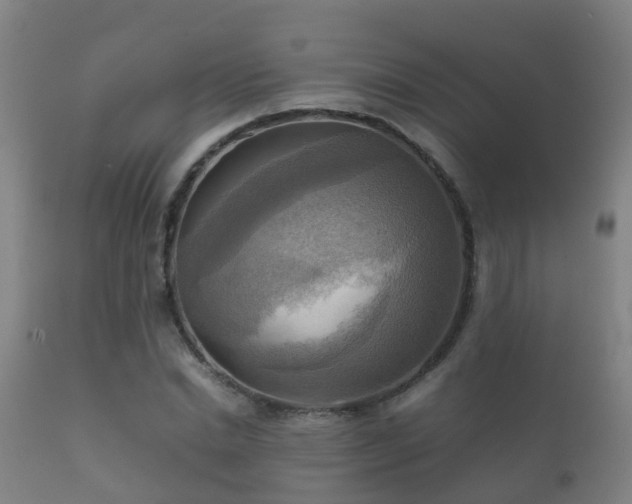 X0000112090830200908111351