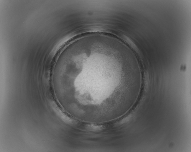 X0000112090831200908111351