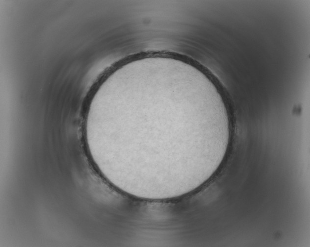 X0000112090832200908111351