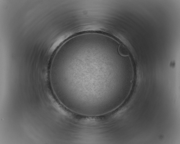 X0000112090834200908111351