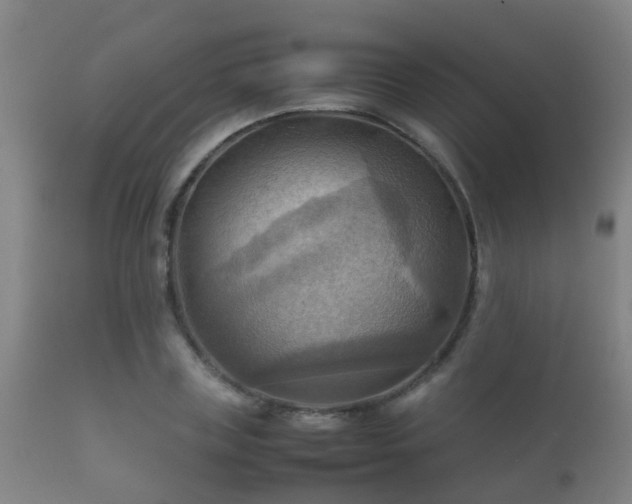 X0000112090835200908111351