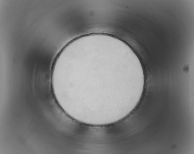 X0000112090836200908111351