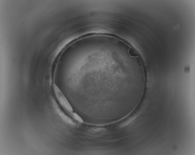 X0000112090837200908111351