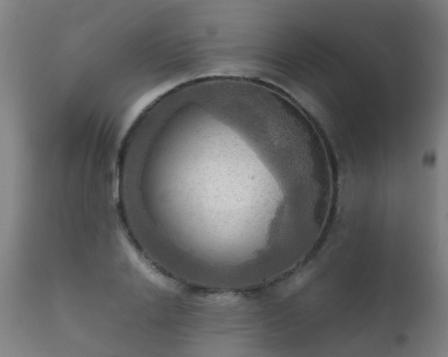 X0000112090838200908111351