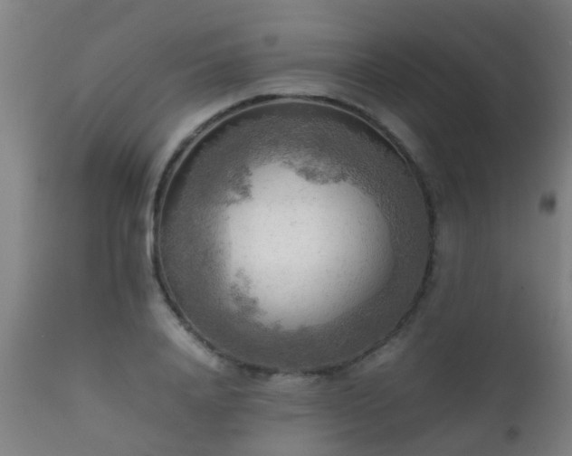 X0000112090840200908111351