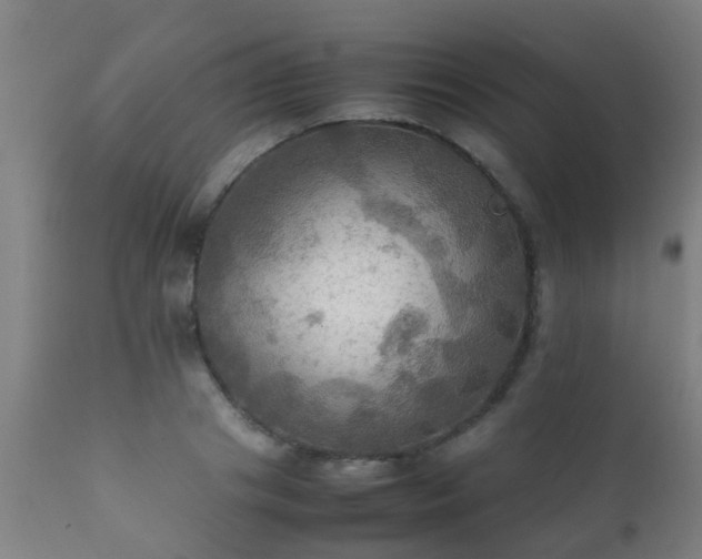 X0000112090841200908111351