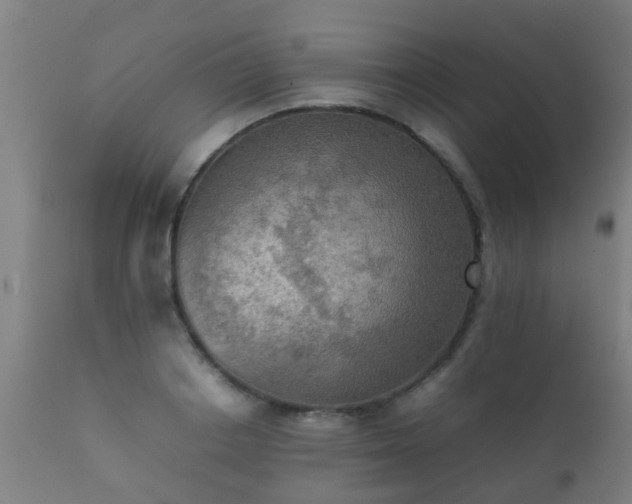 X0000112090842200908111351