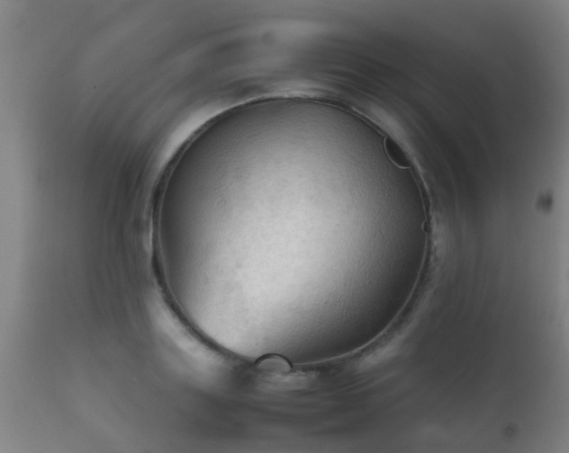 X0000112090843200908111351