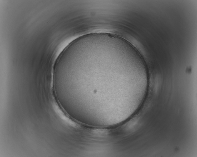 X0000112090844200908111351