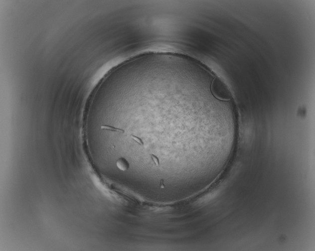 X0000112090845200908111351