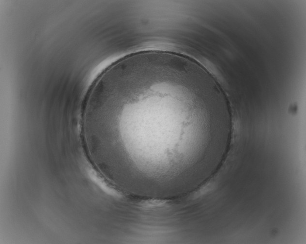 X0000112090846200908111351