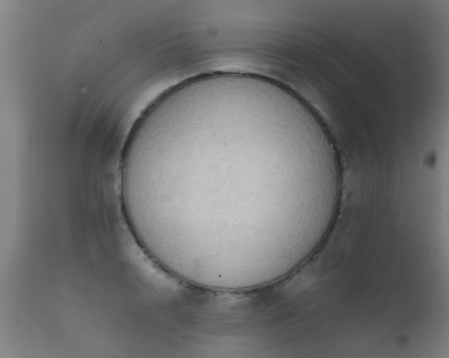 X0000112090848200908111351