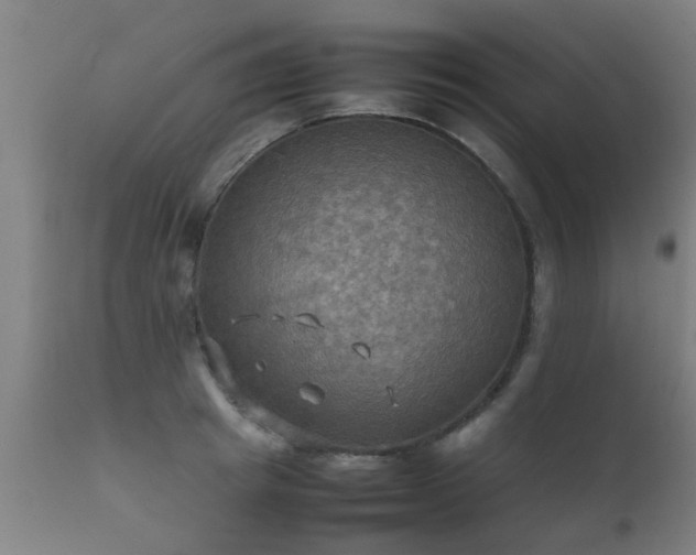 X0000112090849200908111351