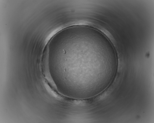 X0000112090850200908111351