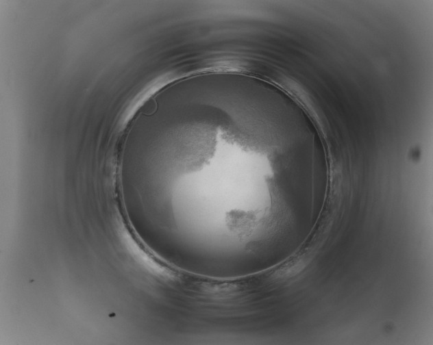 X0000112090851200908111351