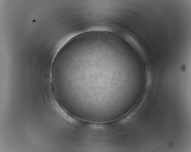 X0000112090852200908111351