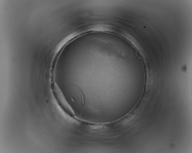 X0000112090853200908111351