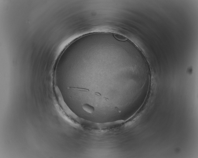 X0000112090854200908111351