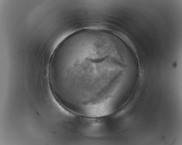 X0000112090855200908111351