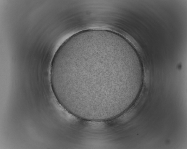 X0000112090856200908111351