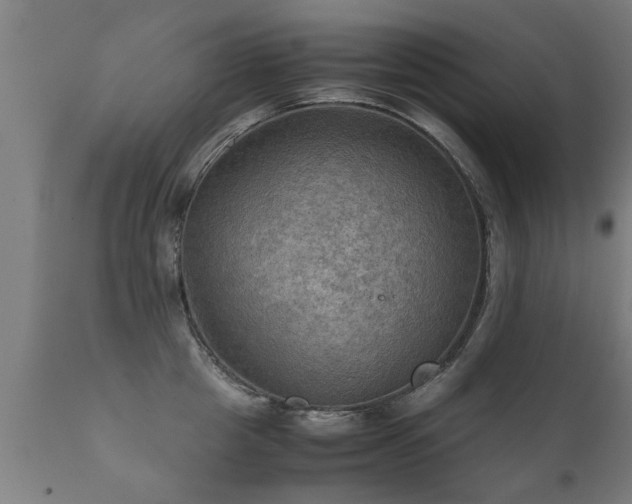 X0000112090857200908111351