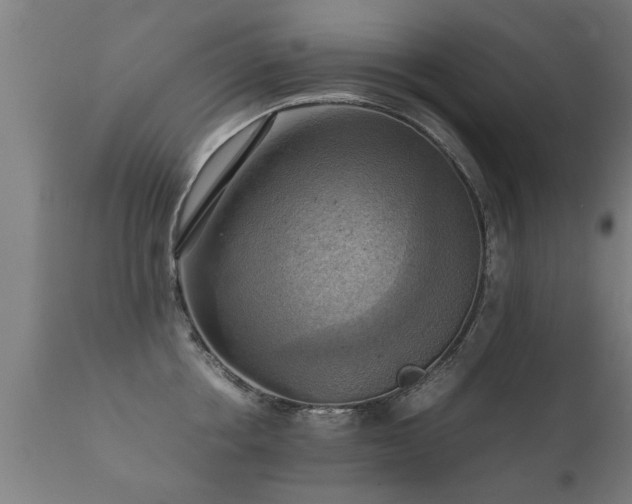 X0000112090858200908111351