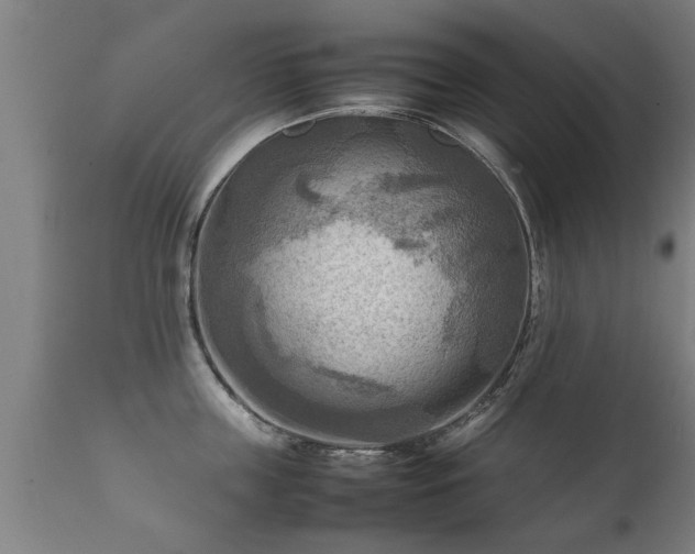 X0000112090859200908111351