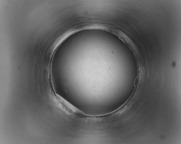 X0000112090860200908111351