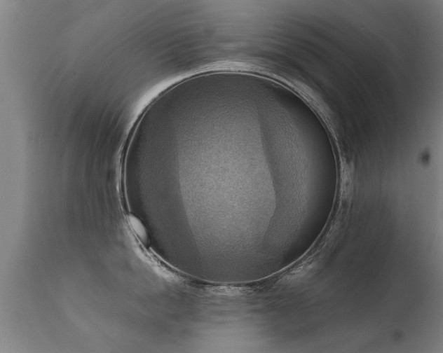 X0000112090862200908111351